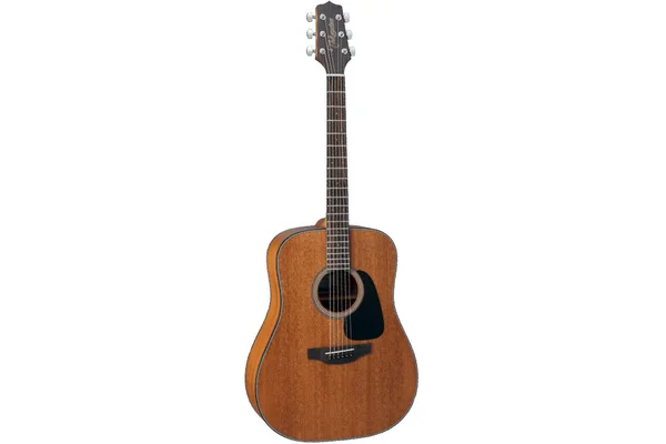 Takamine GD20